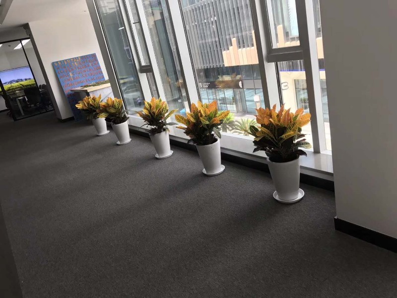 如何選擇一家專業(yè)的花卉租擺公司？