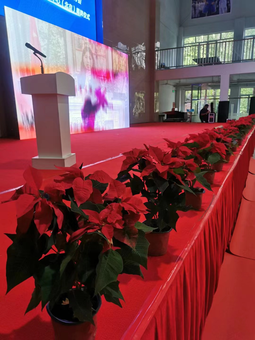 綠植花卉會(huì)場布置