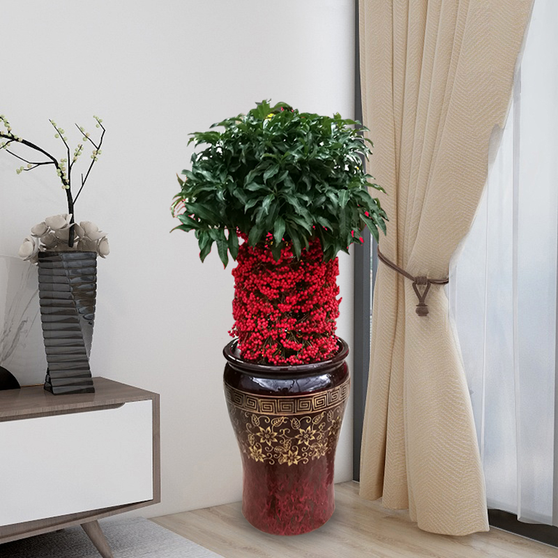 養(yǎng)花該如何給土壤殺蟲？4個小方法，既能省錢又讓花卉長得更好