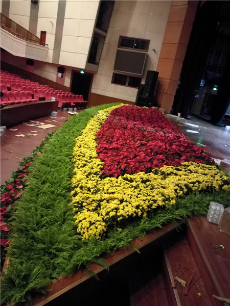 北京花卉植物菊花的種植簡單，記住這4點(diǎn)，開花更大