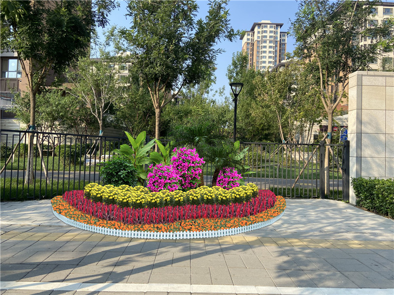 北京花卉租擺公司海棠花的養(yǎng)護(hù)知識