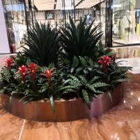 北京綠植養(yǎng)護(hù)要點