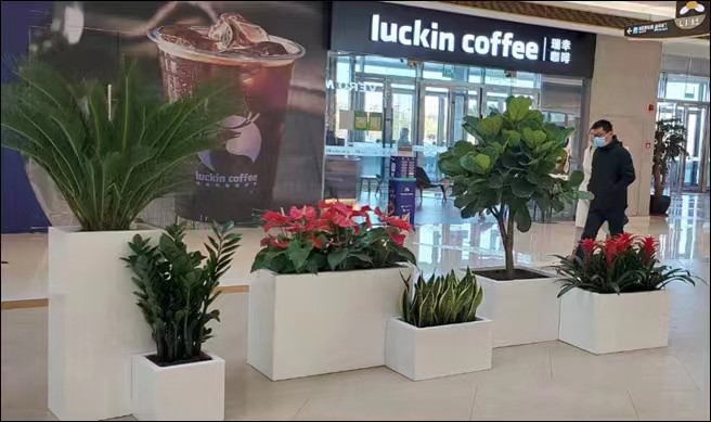 朱頂紅冬天要怎么養(yǎng)護？