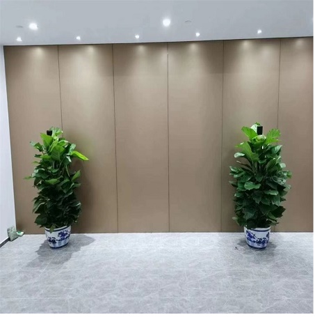 綠蘿的養(yǎng)護(hù)知識