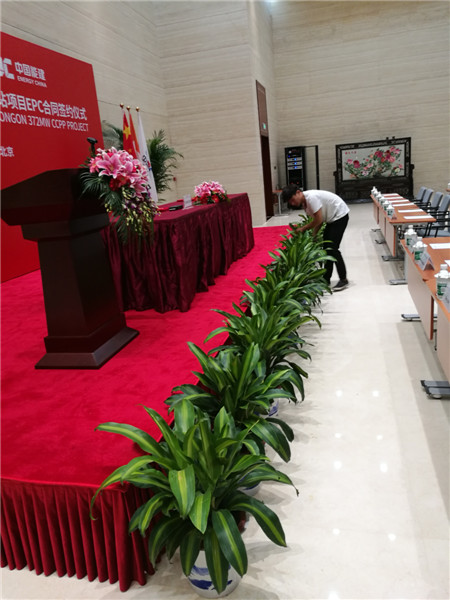 北京西城區(qū)綠植租擺西城區(qū)花卉租賃西城區(qū)花木銷售