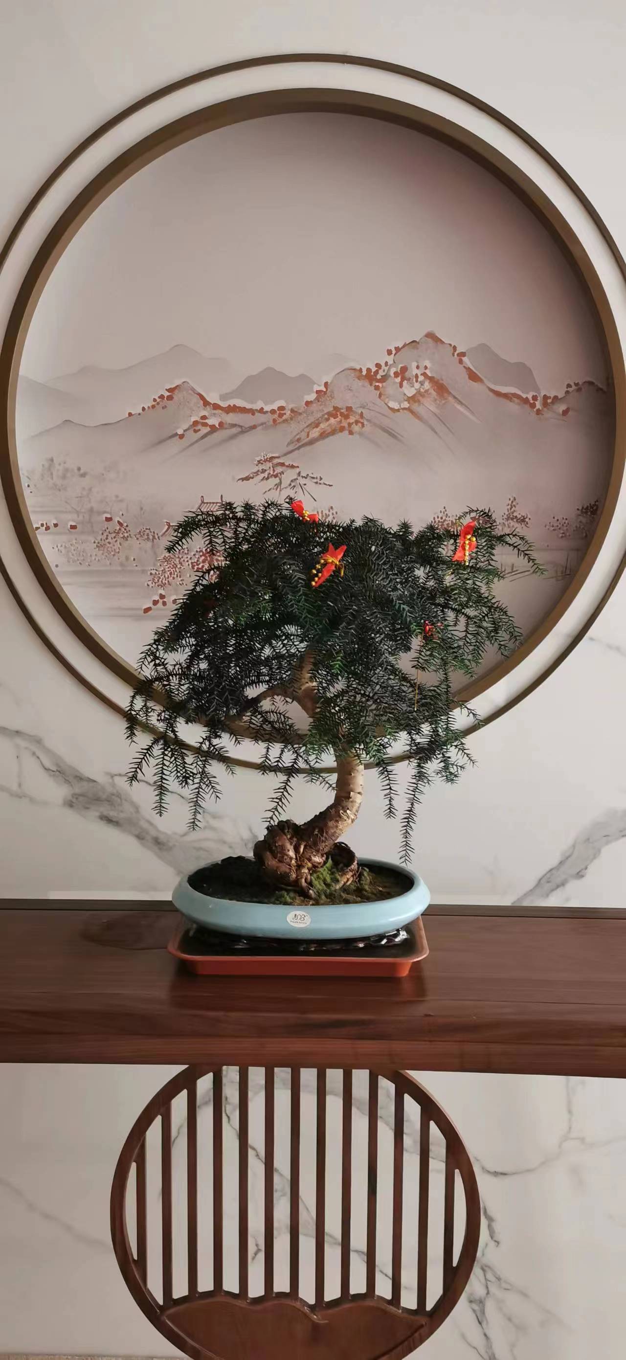 寫字樓綠植租賃花卉租擺朝陽區(qū)綠植租擺公司，